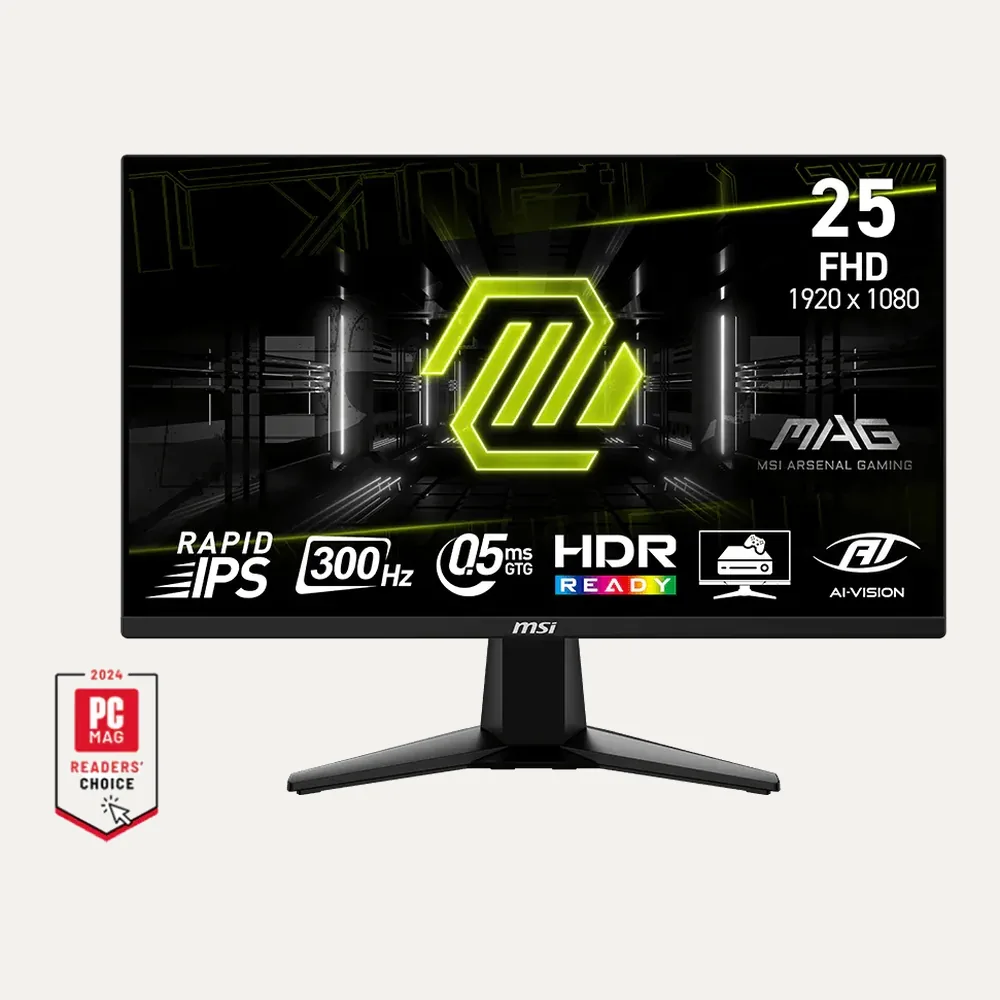 MSI MAG 255XF