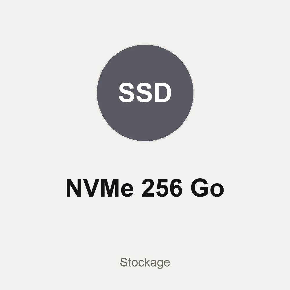 SSD NVMe 256 GB