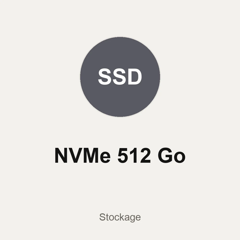 SSD NVMe 512 GB