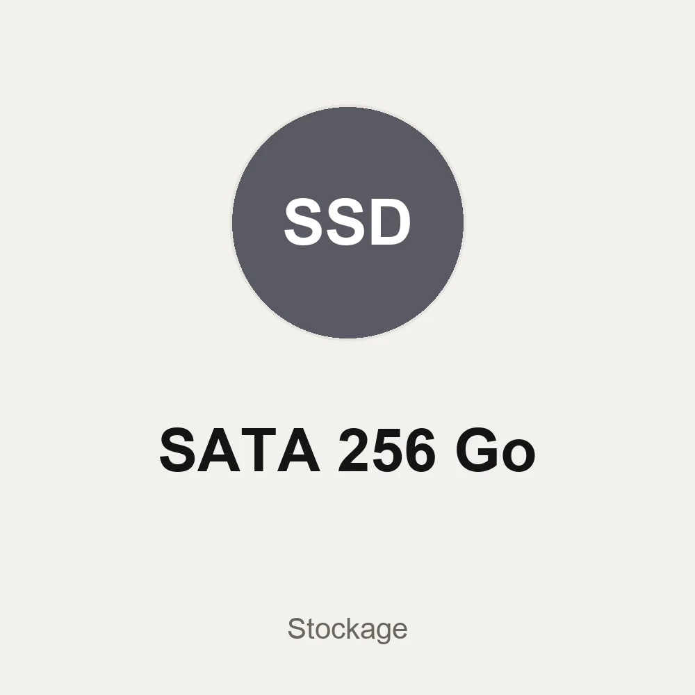 SSD Sata 256 GB